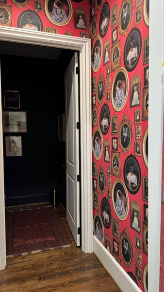 A Cavalcade of Cats Wallpaper Red