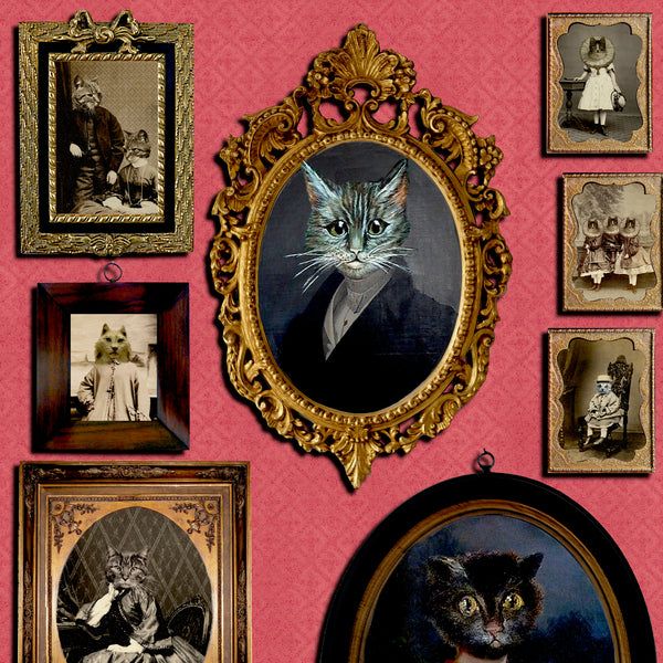 A Cavalcade of Cats Wallpaper Red