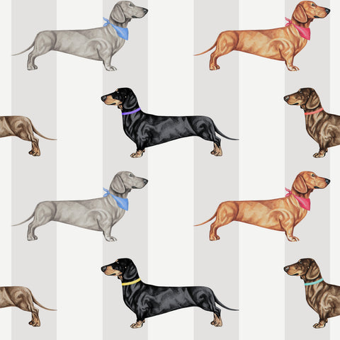 Dachshund wallpaper with hand-painted sausage dogs in colourful collars on a natural grey stripe background