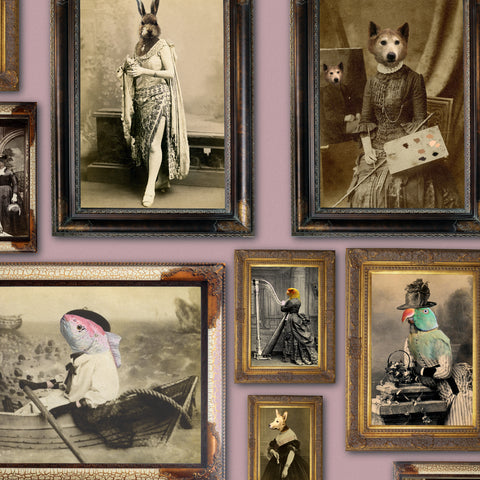 Rose pink portrait gallery wallpaper with Victorian animal characters in ornate antique picture frames