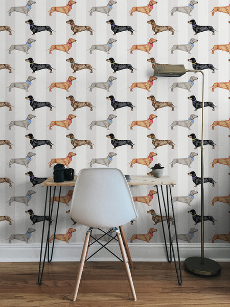 Dachshund Natural Stripe wallpaper behind a small wooden desk with white chair and floor lamp