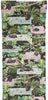Monkey Business Wallpaper Black