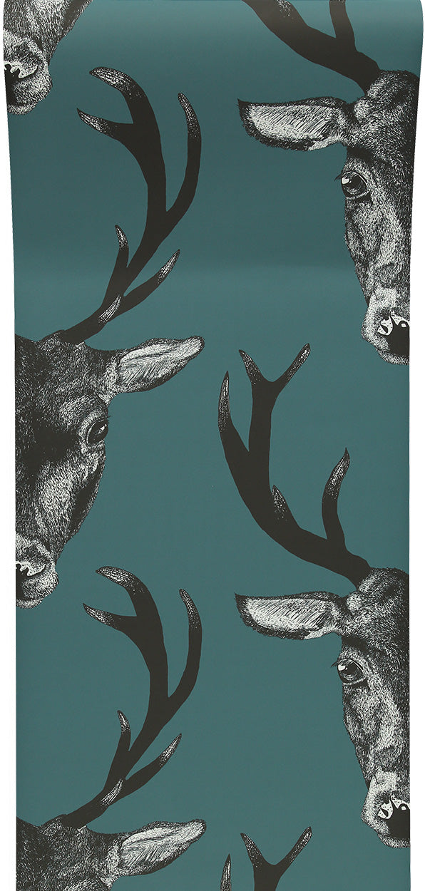 Teal wallpaper outlet