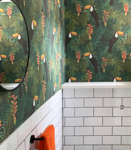 Toucan Wallpaper Green